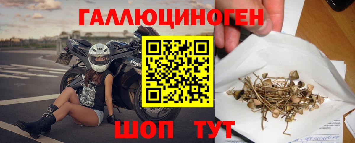 Галлюциногенные грибы Psilocybine cubensis  Вход с VPN  Учалы 